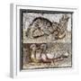 Roman Art : a Wild Cat Catching a Partridge and Two Ducks-null-Framed Photographic Print