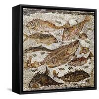 Roman Art : Fishes-null-Framed Stretched Canvas