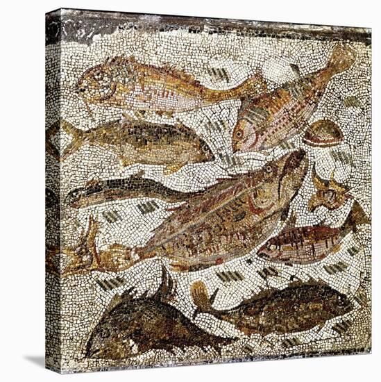 Roman Art : Fishes-null-Stretched Canvas