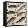 Roman Art : Fishes-null-Framed Stretched Canvas