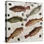 Roman Art : Fishes-null-Stretched Canvas