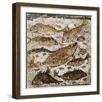 Roman Art : Fishes-null-Framed Photographic Print