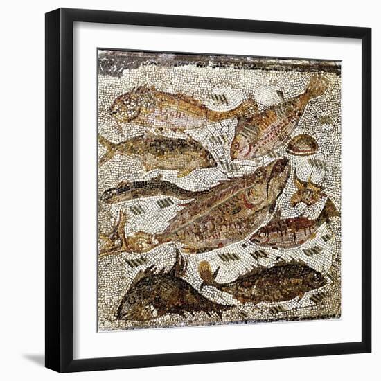 Roman Art : Fishes-null-Framed Photographic Print