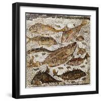 Roman Art : Fishes-null-Framed Photographic Print