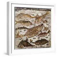 Roman Art : Fishes-null-Framed Photographic Print