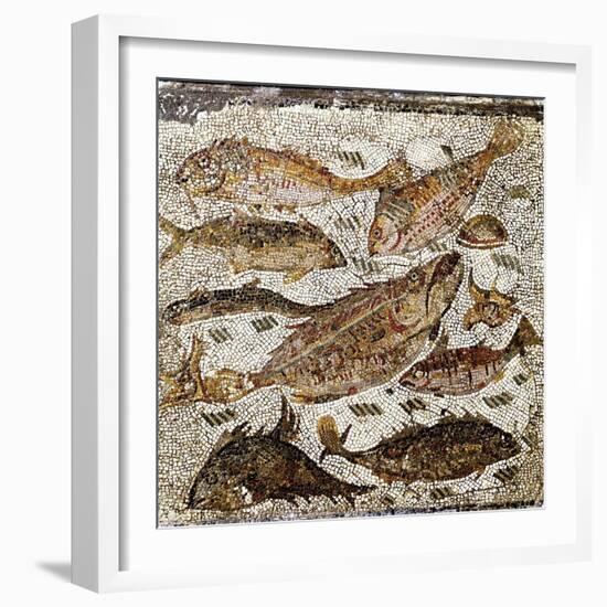 Roman Art : Fishes-null-Framed Photographic Print