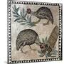 Roman Art : Guineafowls-null-Mounted Photographic Print
