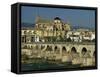 Roman Bridge Across the Rio Guadalquivir, Cordoba, Andalucia, Spain-Michael Busselle-Framed Stretched Canvas