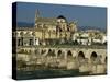 Roman Bridge Across the Rio Guadalquivir, Cordoba, Andalucia, Spain-Michael Busselle-Stretched Canvas