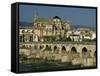 Roman Bridge Across the Rio Guadalquivir, Cordoba, Andalucia, Spain-Michael Busselle-Framed Stretched Canvas