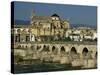 Roman Bridge Across the Rio Guadalquivir, Cordoba, Andalucia, Spain-Michael Busselle-Stretched Canvas