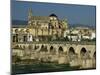 Roman Bridge Across the Rio Guadalquivir, Cordoba, Andalucia, Spain-Michael Busselle-Mounted Photographic Print