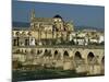 Roman Bridge Across the Rio Guadalquivir, Cordoba, Andalucia, Spain-Michael Busselle-Mounted Photographic Print