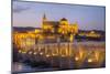 Roman Bridge and The Great Mosque and Cathedral of UNESCO World Heritage Site, Spain-Richard Maschmeyer-Mounted Photographic Print