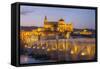 Roman Bridge and The Great Mosque and Cathedral of UNESCO World Heritage Site, Spain-Richard Maschmeyer-Framed Stretched Canvas