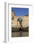 Roman Bridge, near Lagos, Algarve, Portugal, Europe-Richard Maschmeyer-Framed Photographic Print