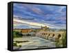 Roman Bridge Over Guadalquivir River and Mezquita, Cordoba, Cordoba Province, Andalucia, Spain-Alan Copson-Framed Stretched Canvas