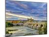 Roman Bridge Over Guadalquivir River and Mezquita, Cordoba, Cordoba Province, Andalucia, Spain-Alan Copson-Mounted Photographic Print