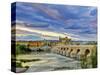 Roman Bridge Over Guadalquivir River and Mezquita, Cordoba, Cordoba Province, Andalucia, Spain-Alan Copson-Stretched Canvas