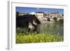 Roman Bridge Spanning the Arga River, Puente La Reina, Navarra, Spain-David R. Frazier-Framed Photographic Print