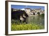 Roman Bridge Spanning the Arga River, Puente La Reina, Navarra, Spain-David R. Frazier-Framed Photographic Print