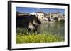 Roman Bridge Spanning the Arga River, Puente La Reina, Navarra, Spain-David R. Frazier-Framed Photographic Print