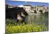 Roman Bridge Spanning the Arga River, Puente La Reina, Navarra, Spain-David R. Frazier-Mounted Photographic Print