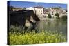 Roman Bridge Spanning the Arga River, Puente La Reina, Navarra, Spain-David R. Frazier-Stretched Canvas