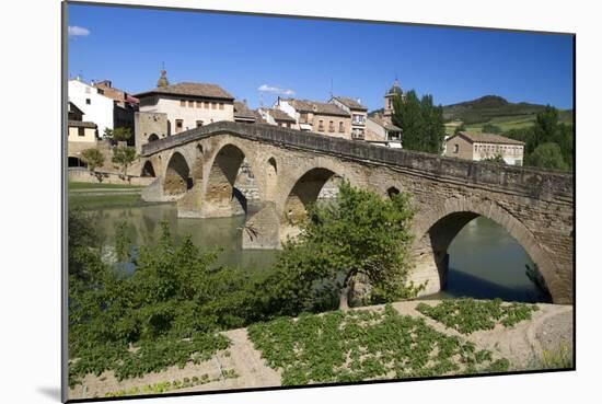 Roman Bridge Spanning the Arga River, Puente La Reina, Navarra, Spain-David R. Frazier-Mounted Photographic Print
