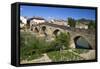 Roman Bridge Spanning the Arga River, Puente La Reina, Navarra, Spain-David R. Frazier-Framed Stretched Canvas