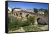 Roman Bridge Spanning the Arga River, Puente La Reina, Navarra, Spain-David R. Frazier-Framed Stretched Canvas