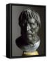 Roman Bronze Sculpture Bust of Seneca-null-Framed Stretched Canvas