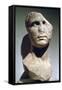 Roman Bust, Possibly of Agrippa-null-Framed Stretched Canvas