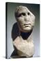 Roman Bust, Possibly of Agrippa-null-Stretched Canvas