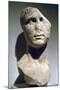 Roman Bust, Possibly of Agrippa-null-Mounted Photographic Print