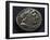 Roman-Campanian Didramma Bearing Image of Hercules, Recto, Roman Coins-null-Framed Giclee Print