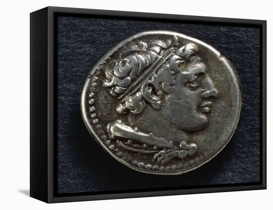 Roman-Campanian Didramma Bearing Image of Hercules, Recto, Roman Coins-null-Framed Stretched Canvas