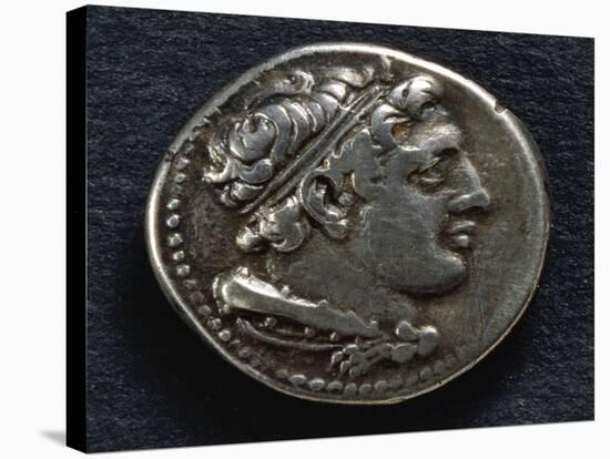 Roman-Campanian Didramma Bearing Image of Hercules, Recto, Roman Coins-null-Stretched Canvas