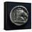 Roman-Campanian Didramma Depicting a Horse, Roman Coins-null-Framed Stretched Canvas