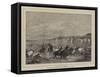 Roman Cattle Market-Charles H. Poingdestre-Framed Stretched Canvas