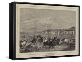 Roman Cattle Market-Charles H. Poingdestre-Framed Stretched Canvas