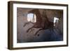 Roman Chariot Fresco, Ancient Ostia (Ostia Antica), Rome, Lazio, Italy, Europe-Oliviero Olivieri-Framed Photographic Print