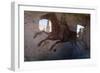 Roman Chariot Fresco, Ancient Ostia (Ostia Antica), Rome, Lazio, Italy, Europe-Oliviero Olivieri-Framed Photographic Print