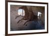 Roman Chariot Fresco, Ancient Ostia (Ostia Antica), Rome, Lazio, Italy, Europe-Oliviero Olivieri-Framed Photographic Print