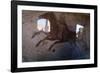 Roman Chariot Fresco, Ancient Ostia (Ostia Antica), Rome, Lazio, Italy, Europe-Oliviero Olivieri-Framed Photographic Print