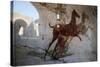 Roman Chariot Fresco, Ancient Ostia (Ostia Antica), Rome, Lazio, Italy, Europe-Oliviero Olivieri-Stretched Canvas