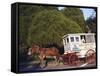 Roman Chewing Candy Cart-Carol Highsmith-Framed Stretched Canvas