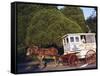 Roman Chewing Candy Cart-Carol Highsmith-Framed Stretched Canvas