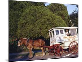 Roman Chewing Candy Cart-Carol Highsmith-Mounted Photo