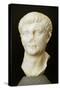 Roman Civilization Head of Drusus Minor from Roselle, Domus of the Mosaics, Tuscany Region, Italy-null-Stretched Canvas